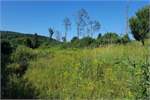 Land for sale in Laurens