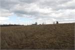 Land for sale in New York