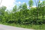Land for sale in Gilboa